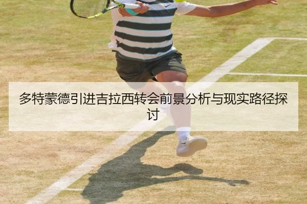 多特蒙德引进吉拉西转会前景分析与现实路径探讨